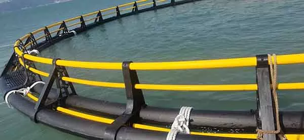 HDPE fishing pipe for Aquaculture-case